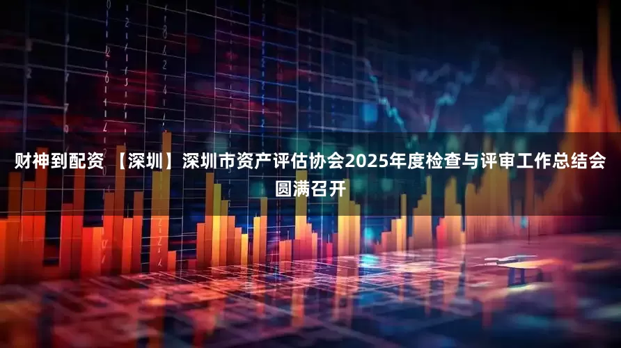 财神到配资 【深圳】深圳市资产评估协会2025年度检查与评审工作总结会圆满召开